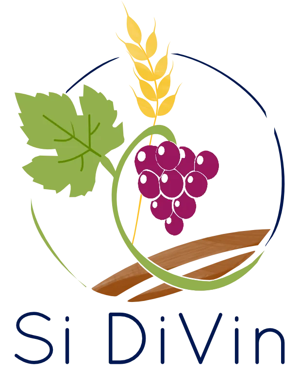 Si DiVin Logo